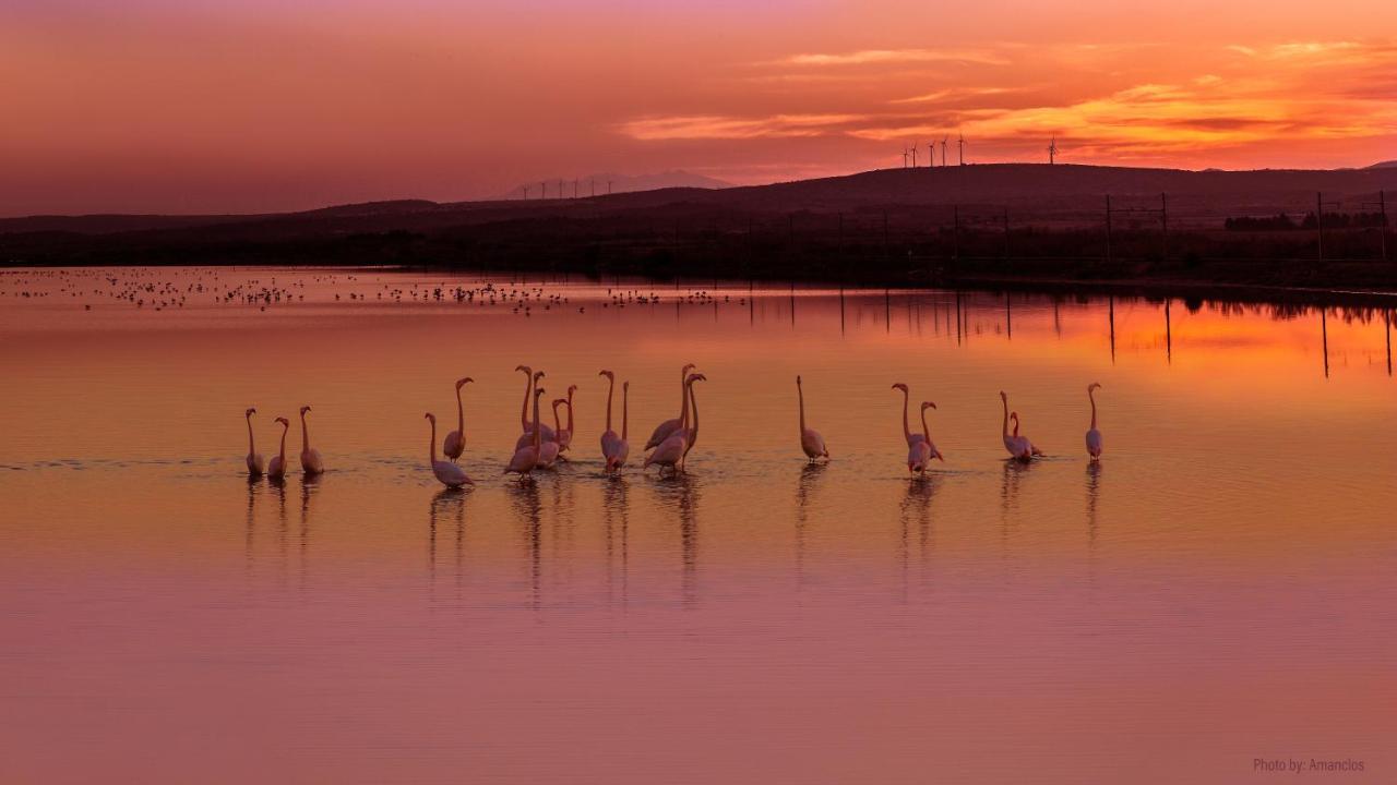 ホテル Viglamo Domaine Presqu'Ile De La Franqui ルカート エクステリア 写真